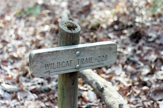 Wildcat Trail Sign