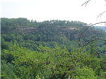 Ridgetop View
